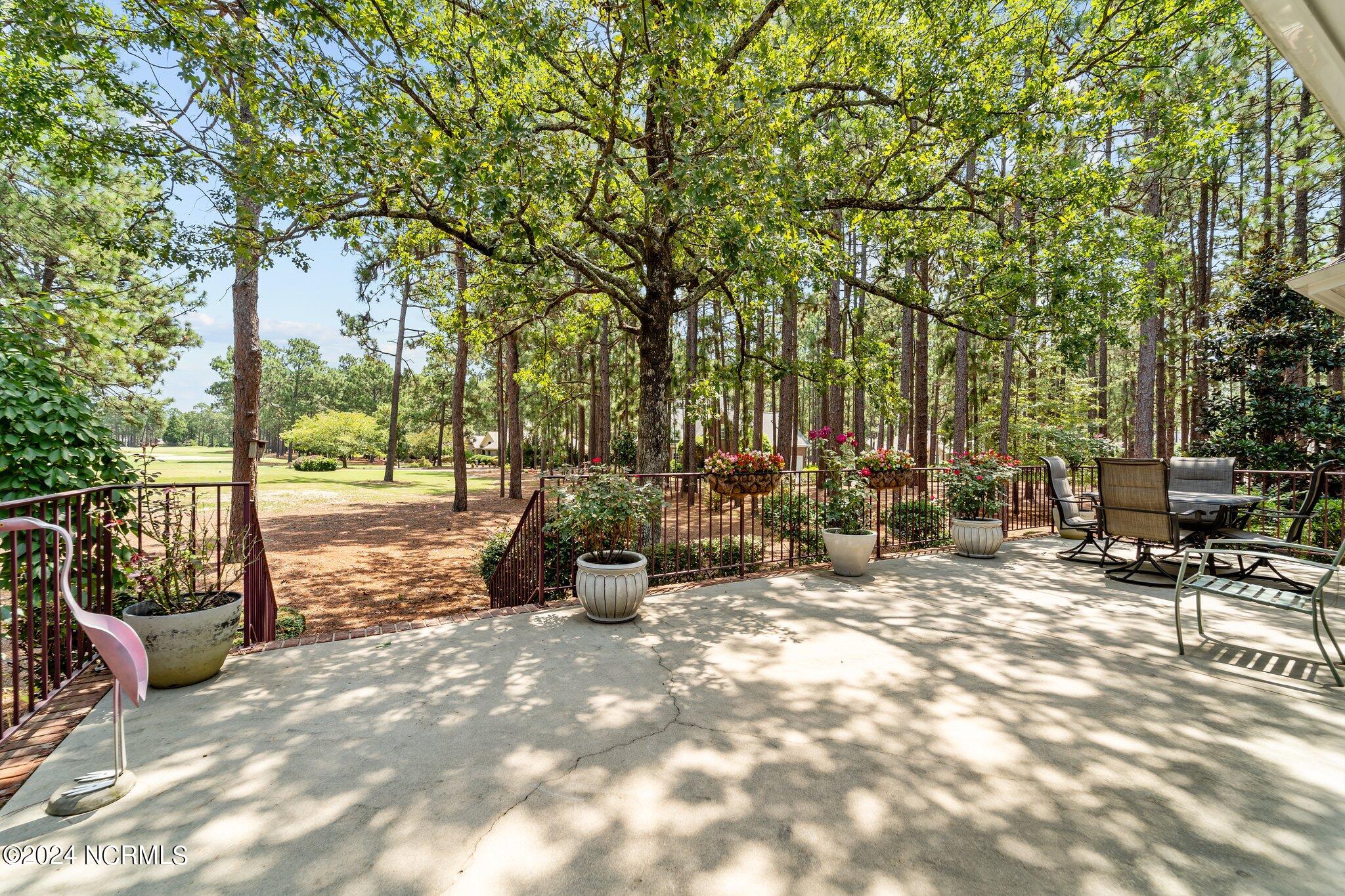 53 Abbottsford Drive