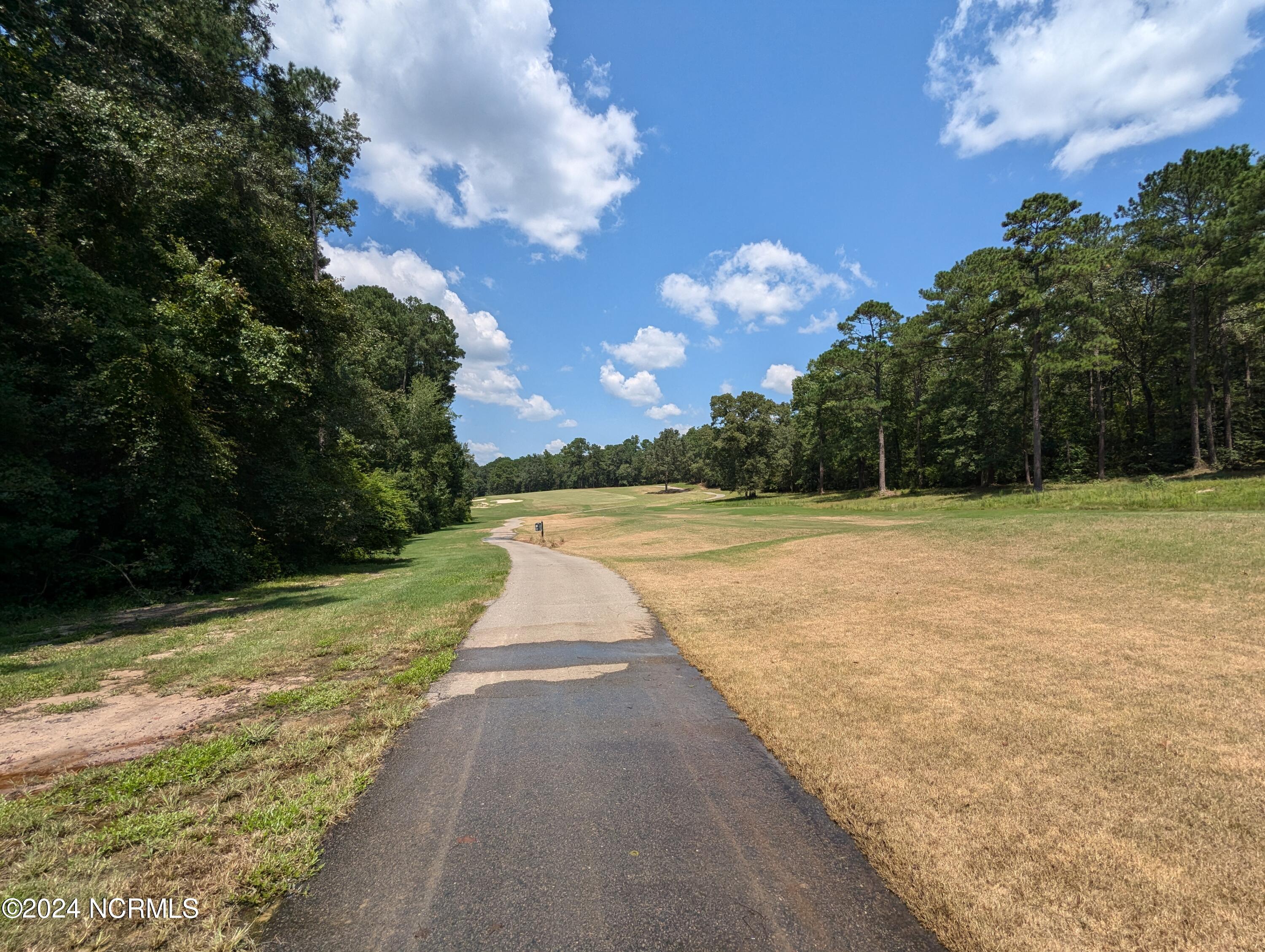 445 166 Thimbleberry Drive