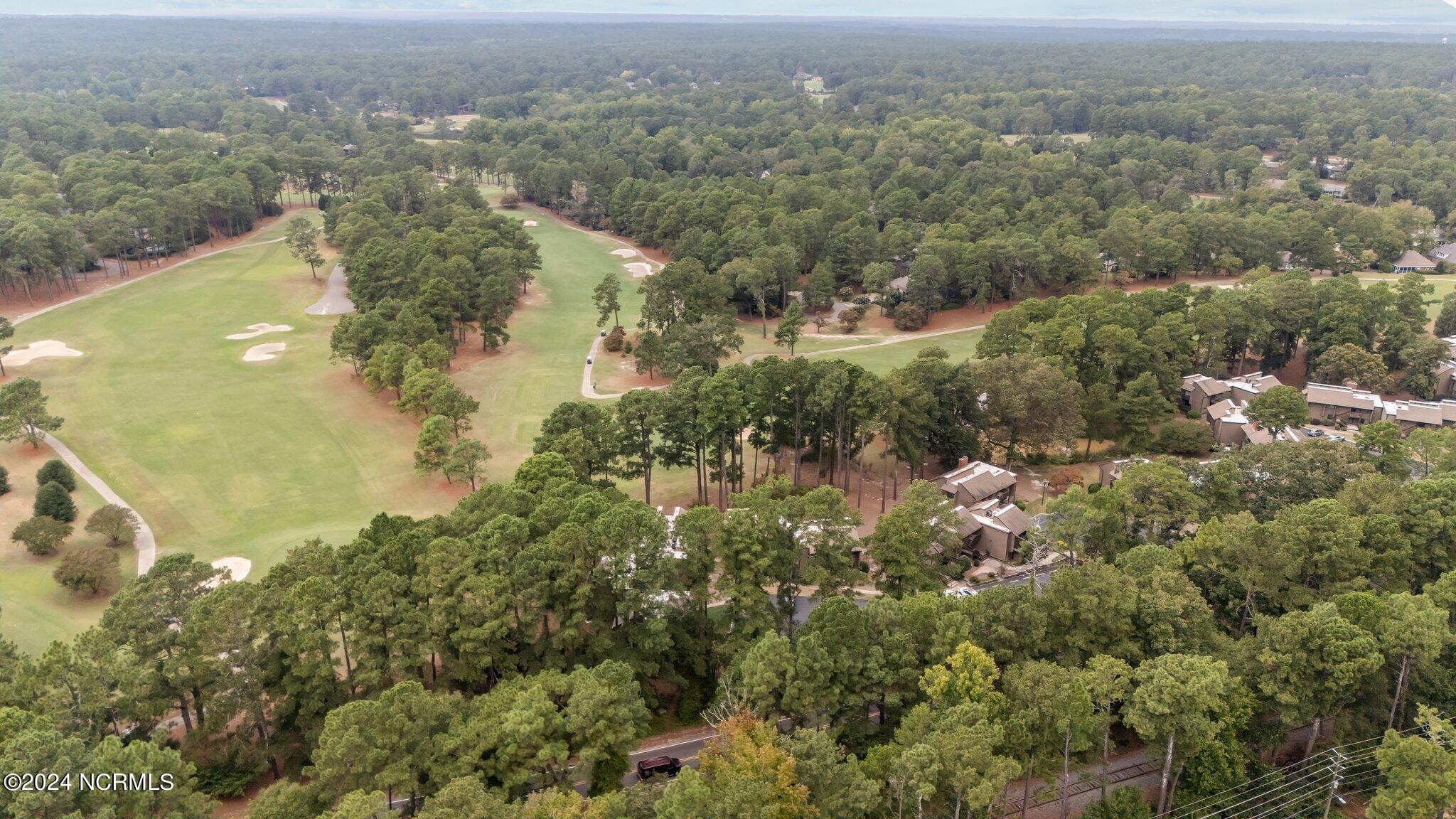 10 Pine Tree Road, 131