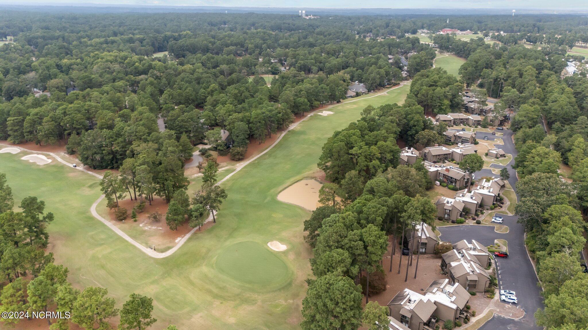 10 Pine Tree Road, 131