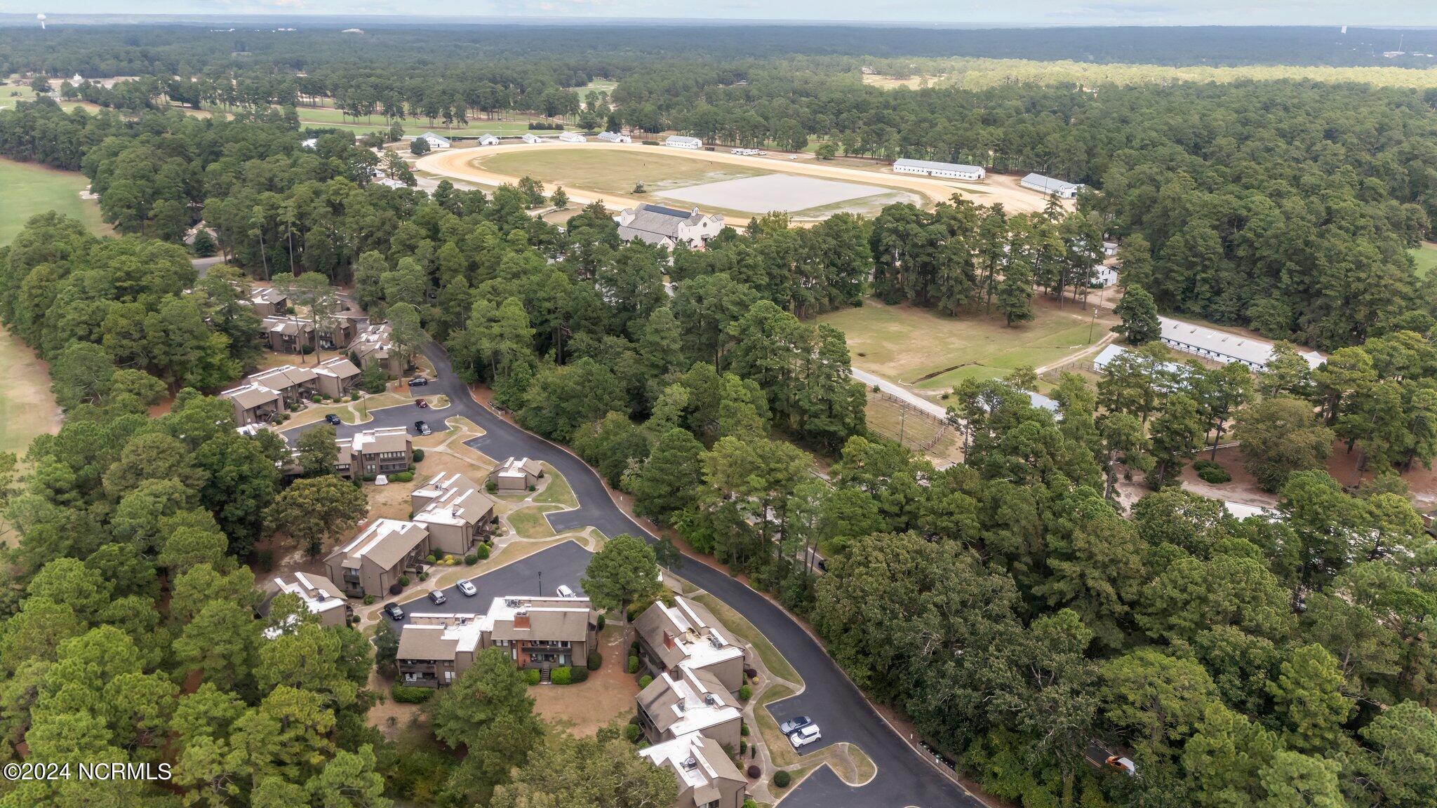 10 Pine Tree Road, 131