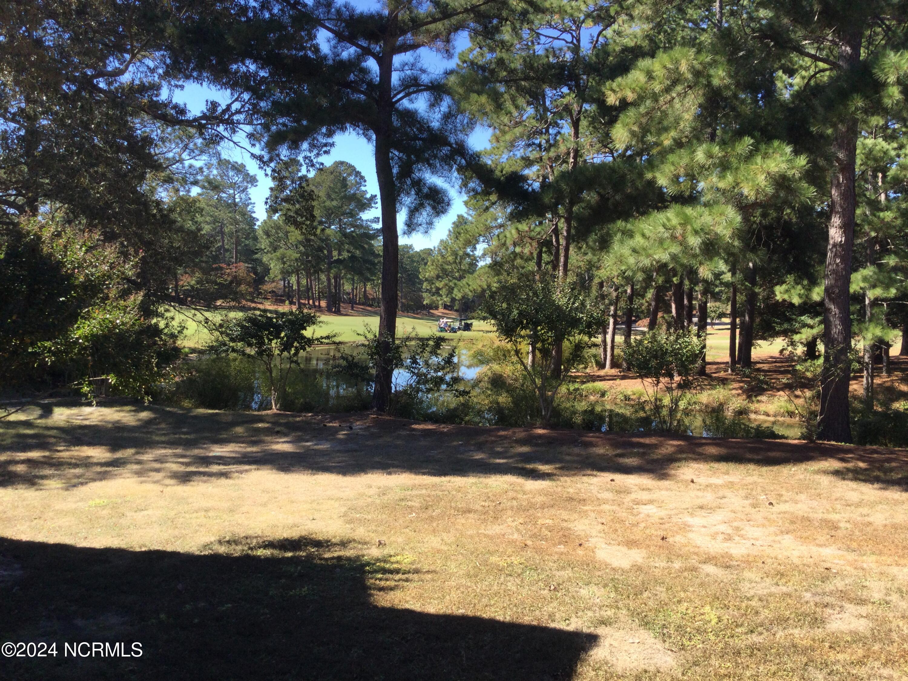 10 Pine Tree Road, 131