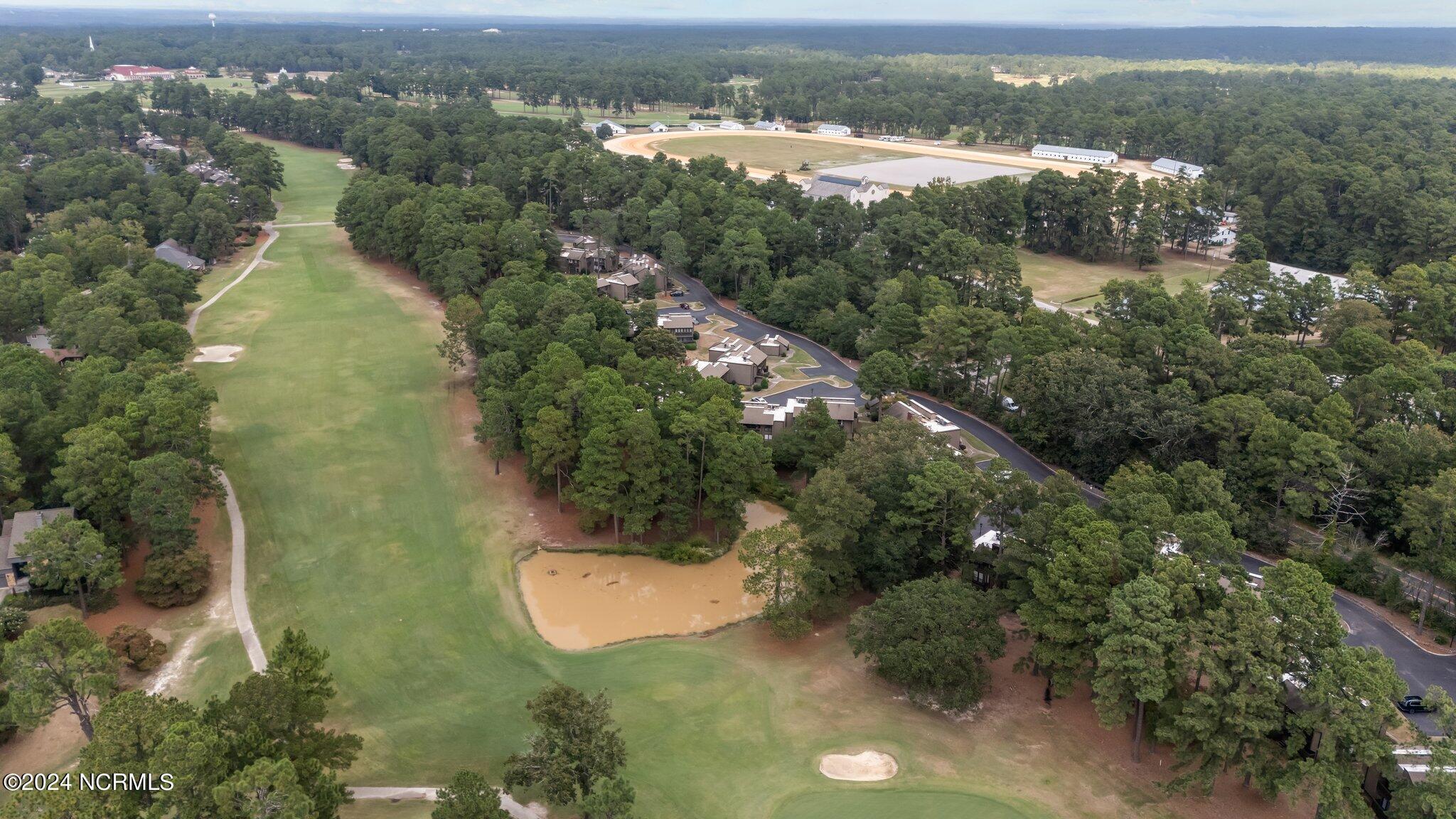 10 Pine Tree Road, 131