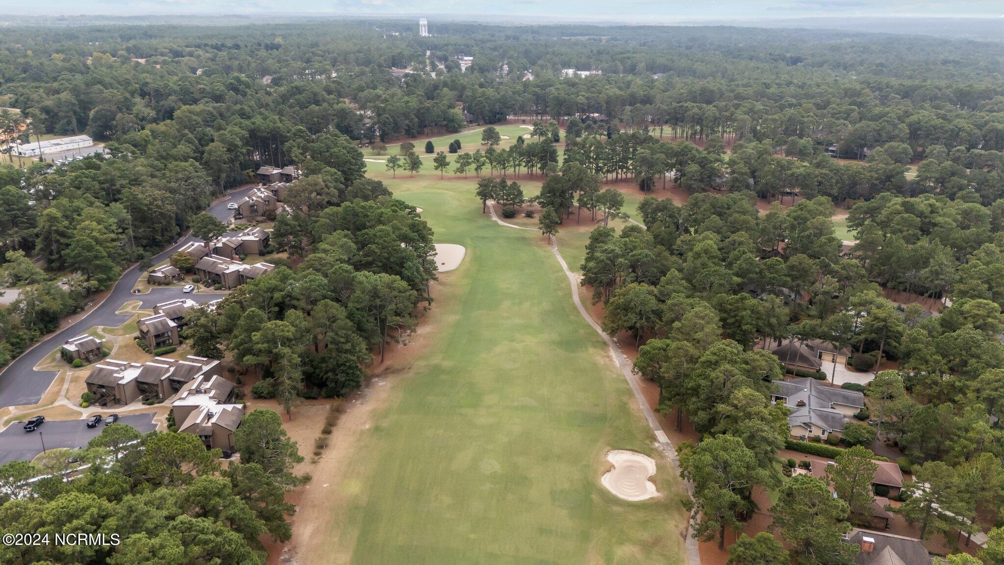 10 Pine Tree Road, 131