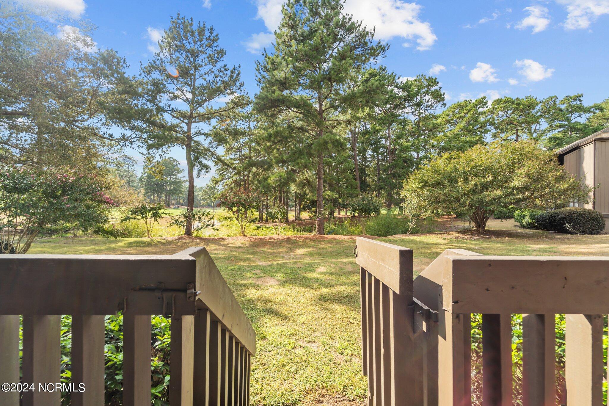 10 Pine Tree Road, 131