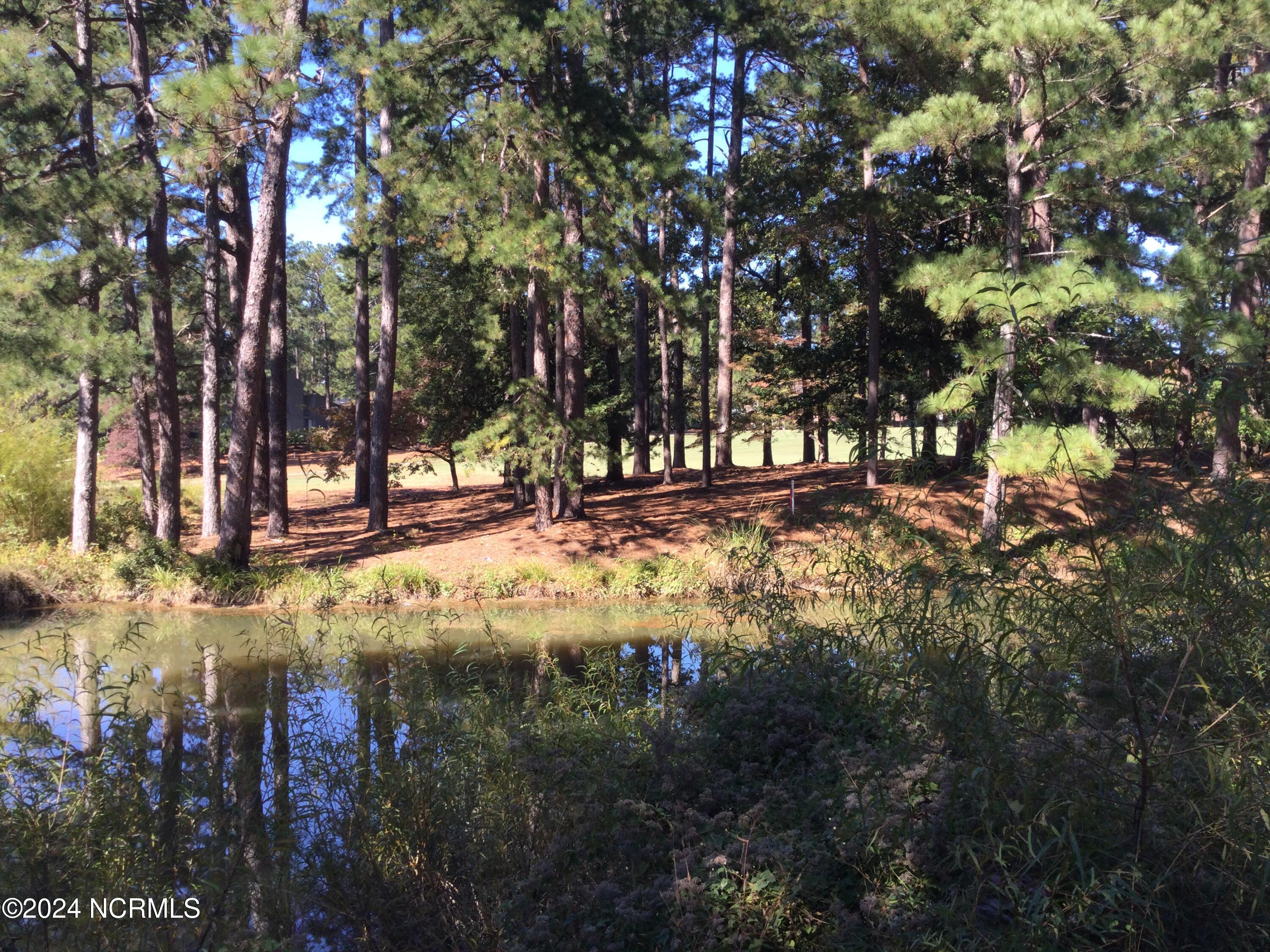 10 Pine Tree Road, 131