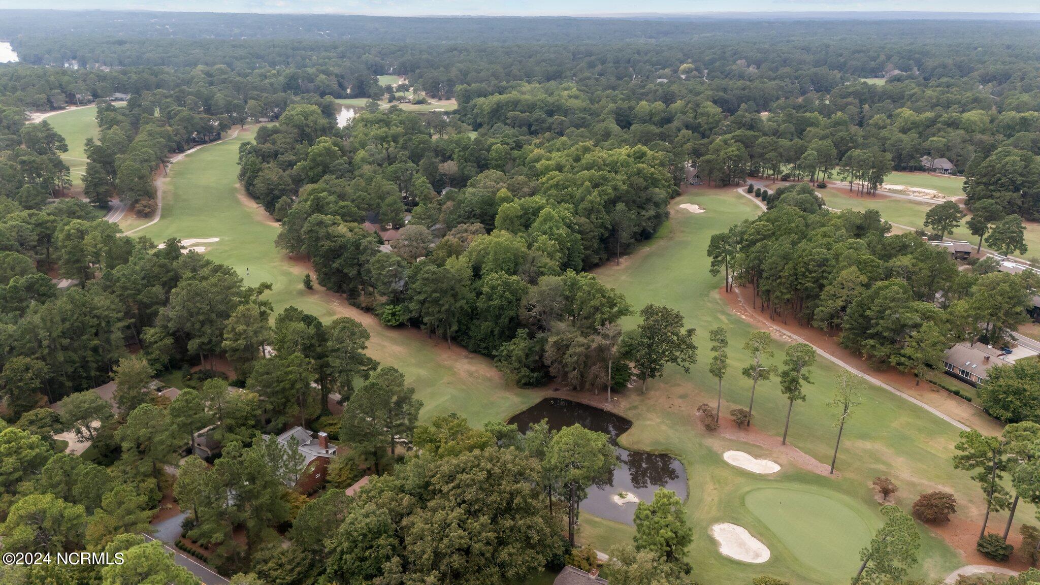 10 Pine Tree Road, 131