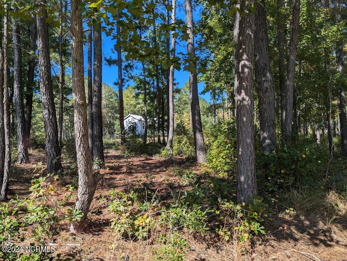 3255 Lakebay Road