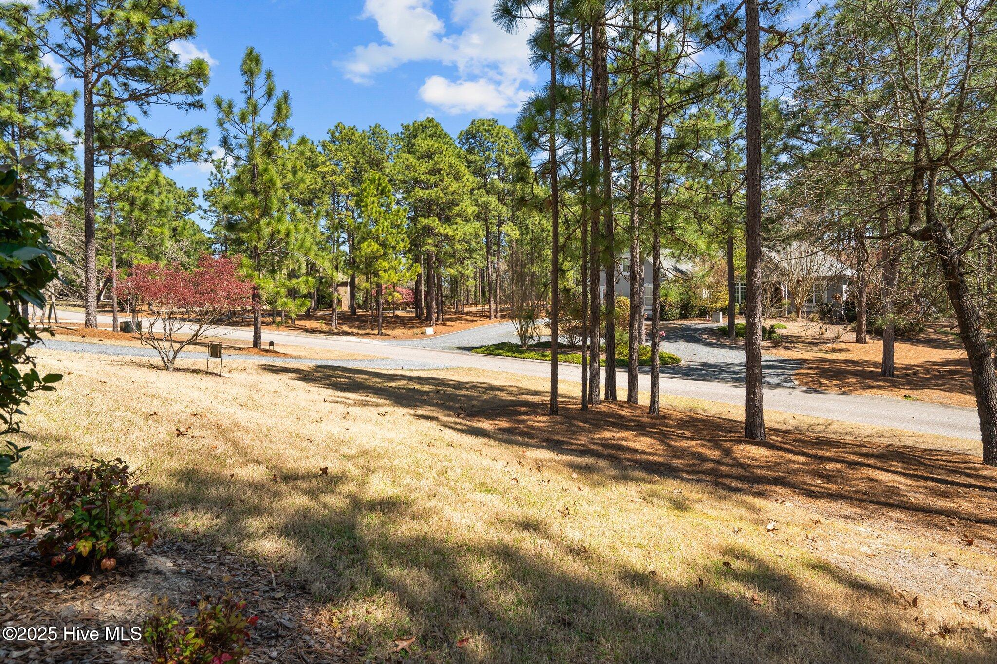 110 Fox Den Drive