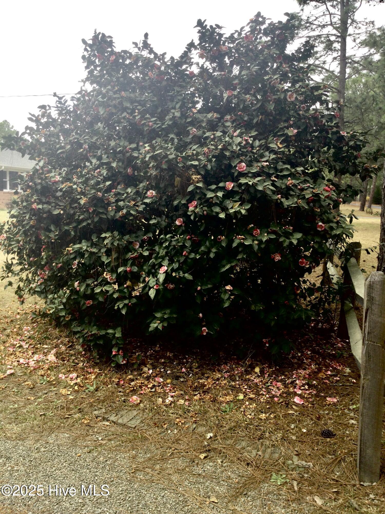 410 N Currant Street