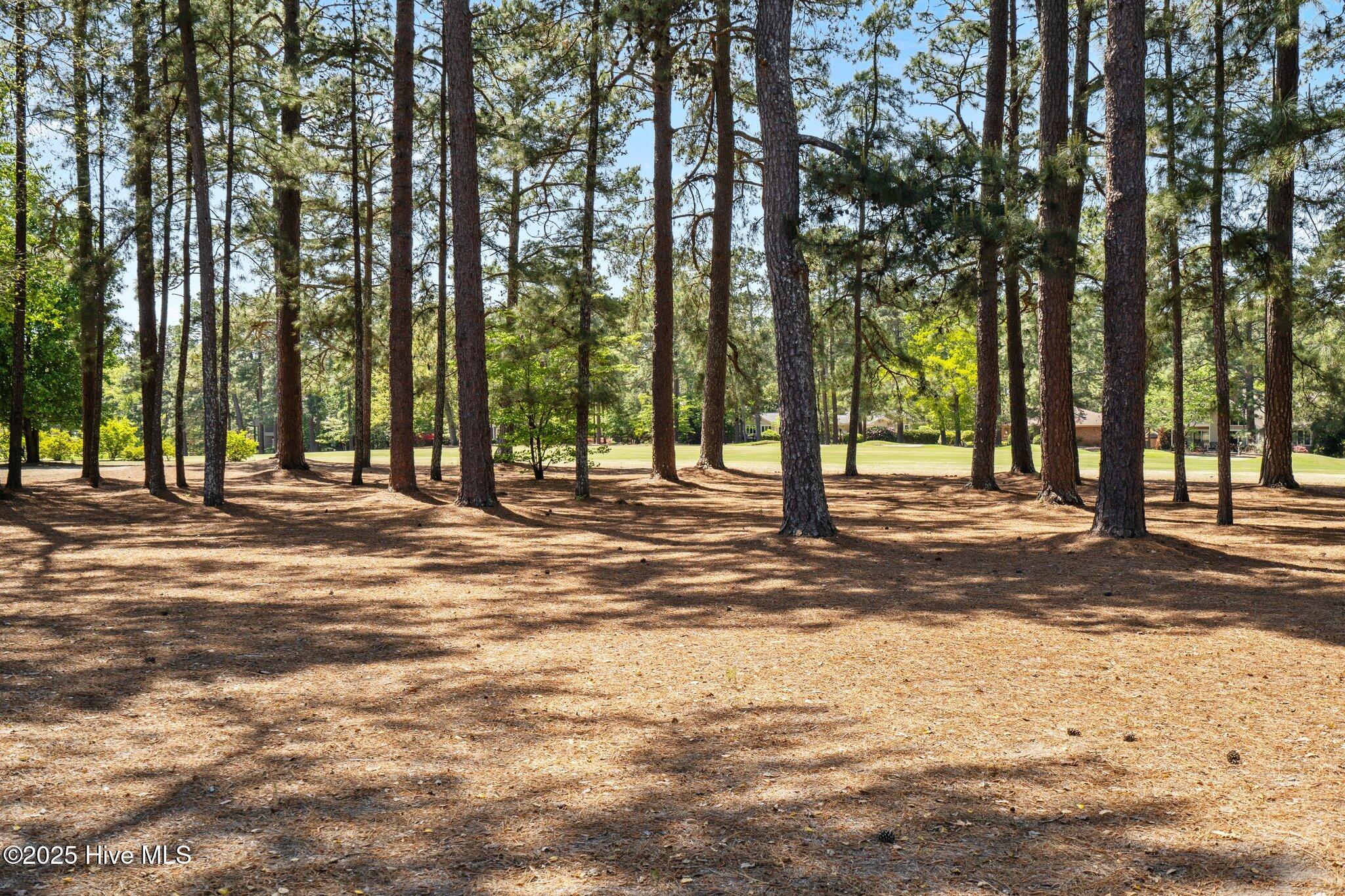 10 Pine Tree Road, 108