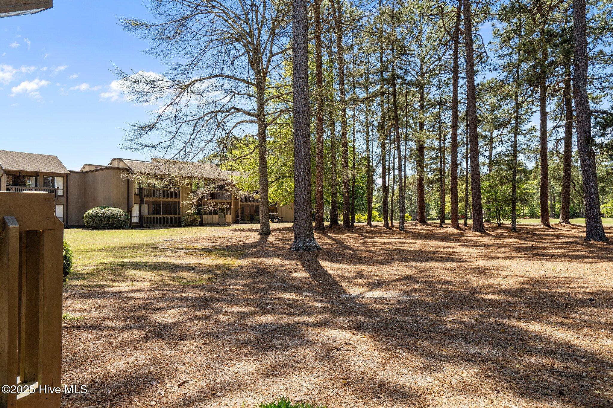 10 Pine Tree Road, 108