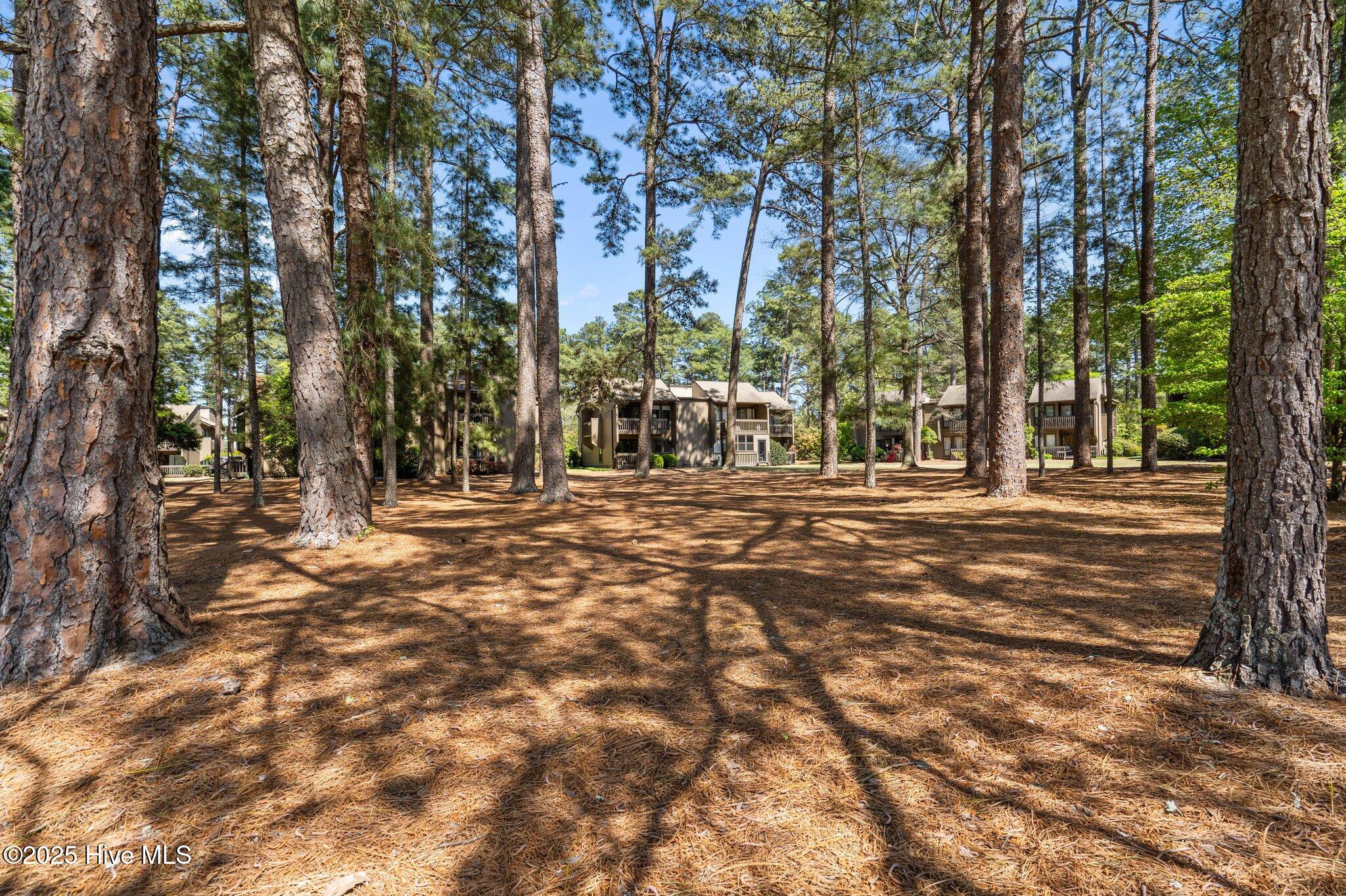 10 Pine Tree Road, 108