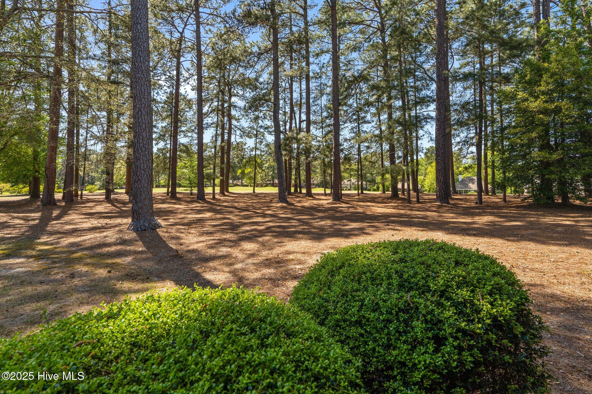 10 Pine Tree Road, 108