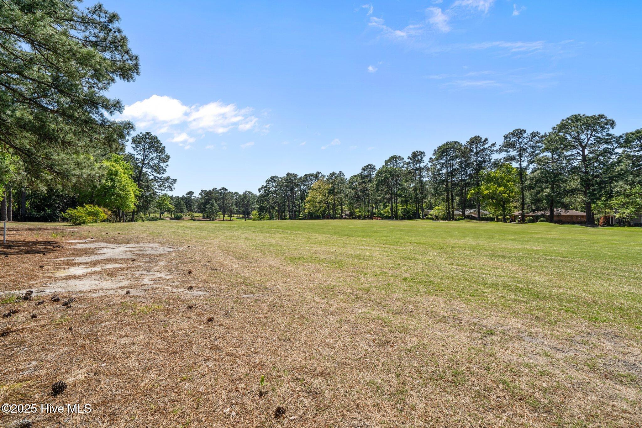 10 Pine Tree Road, 108