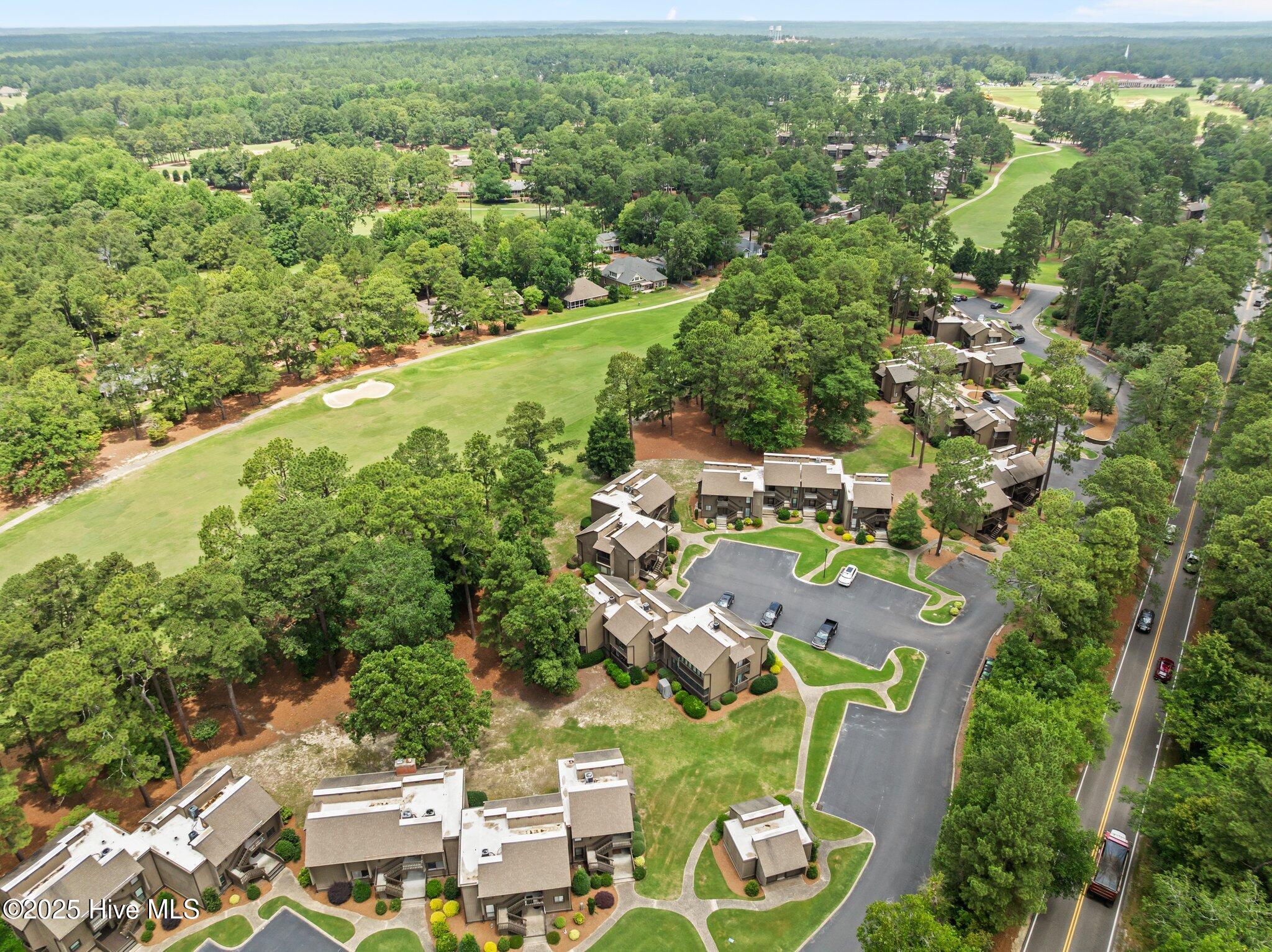 10 Pine Tree Road, 123