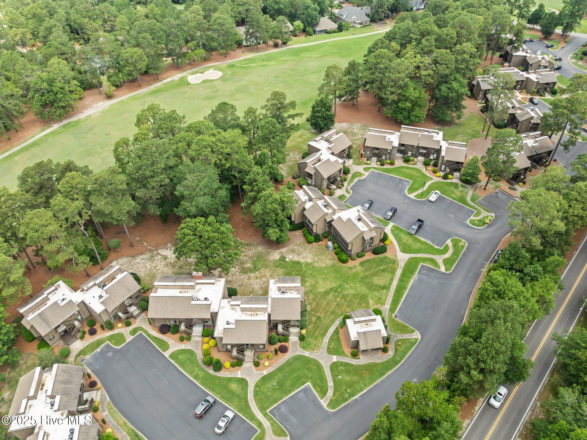 10 Pine Tree Road, 123