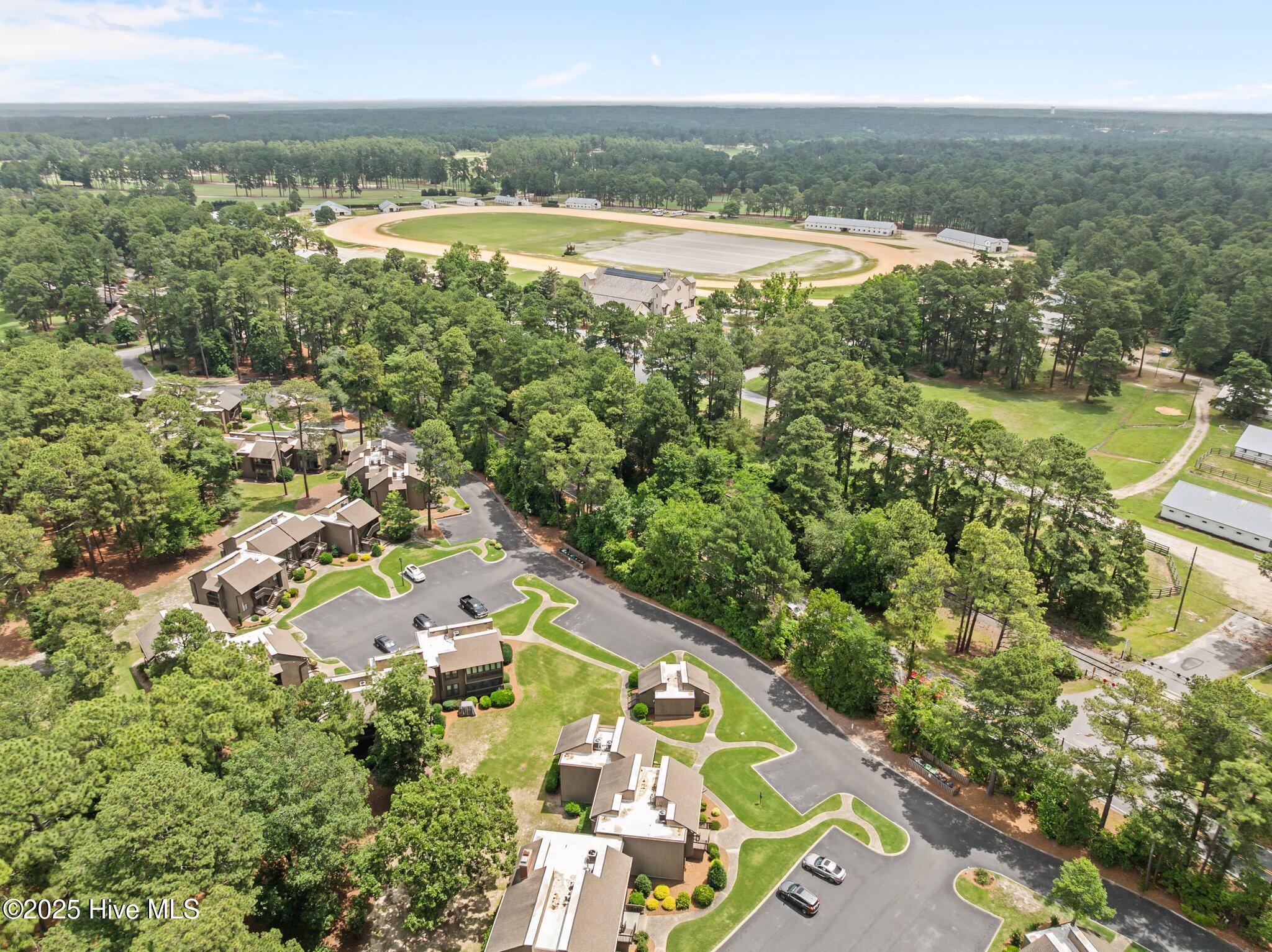 10 Pine Tree Road, 123