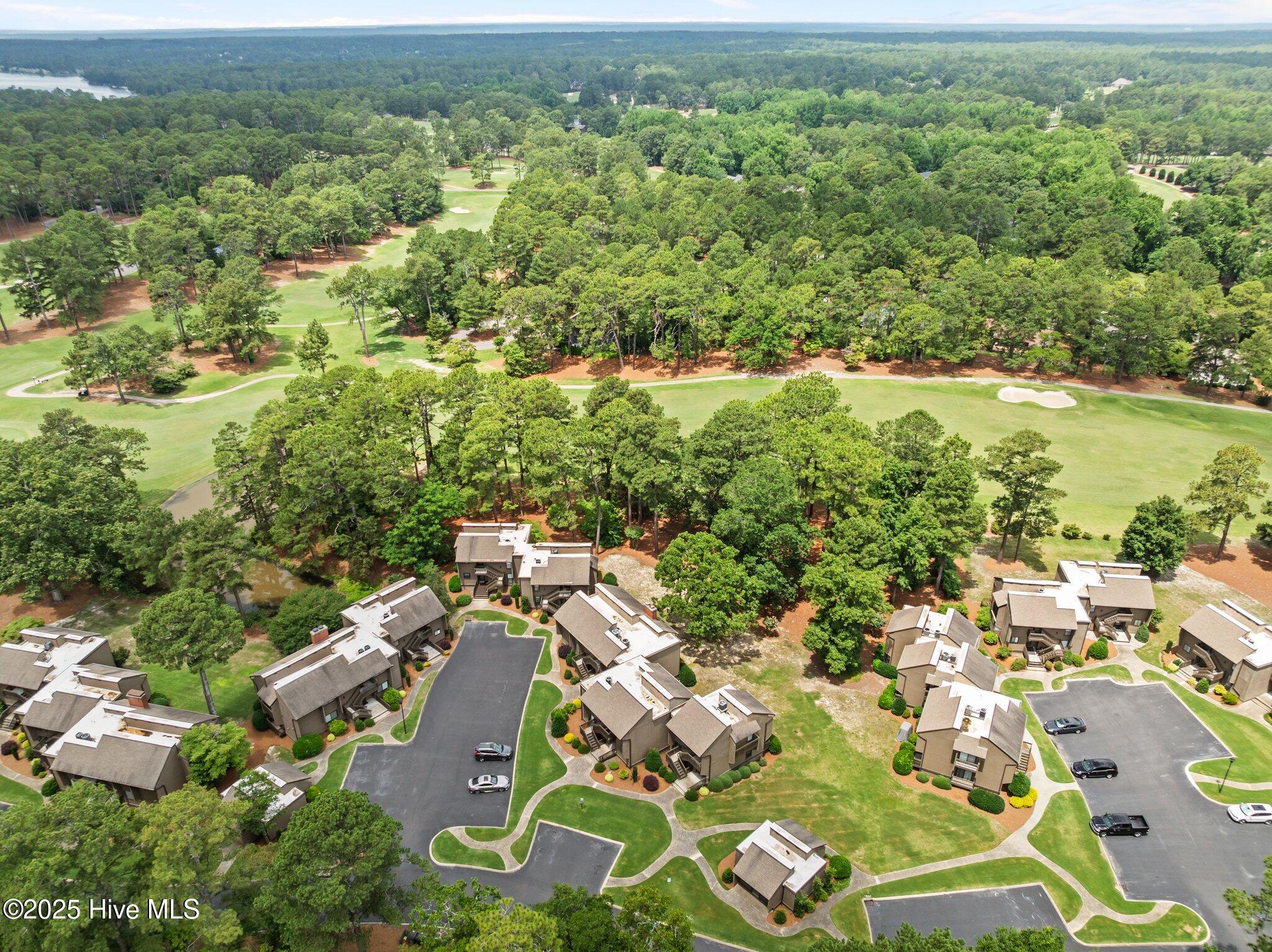 10 Pine Tree Road, 123