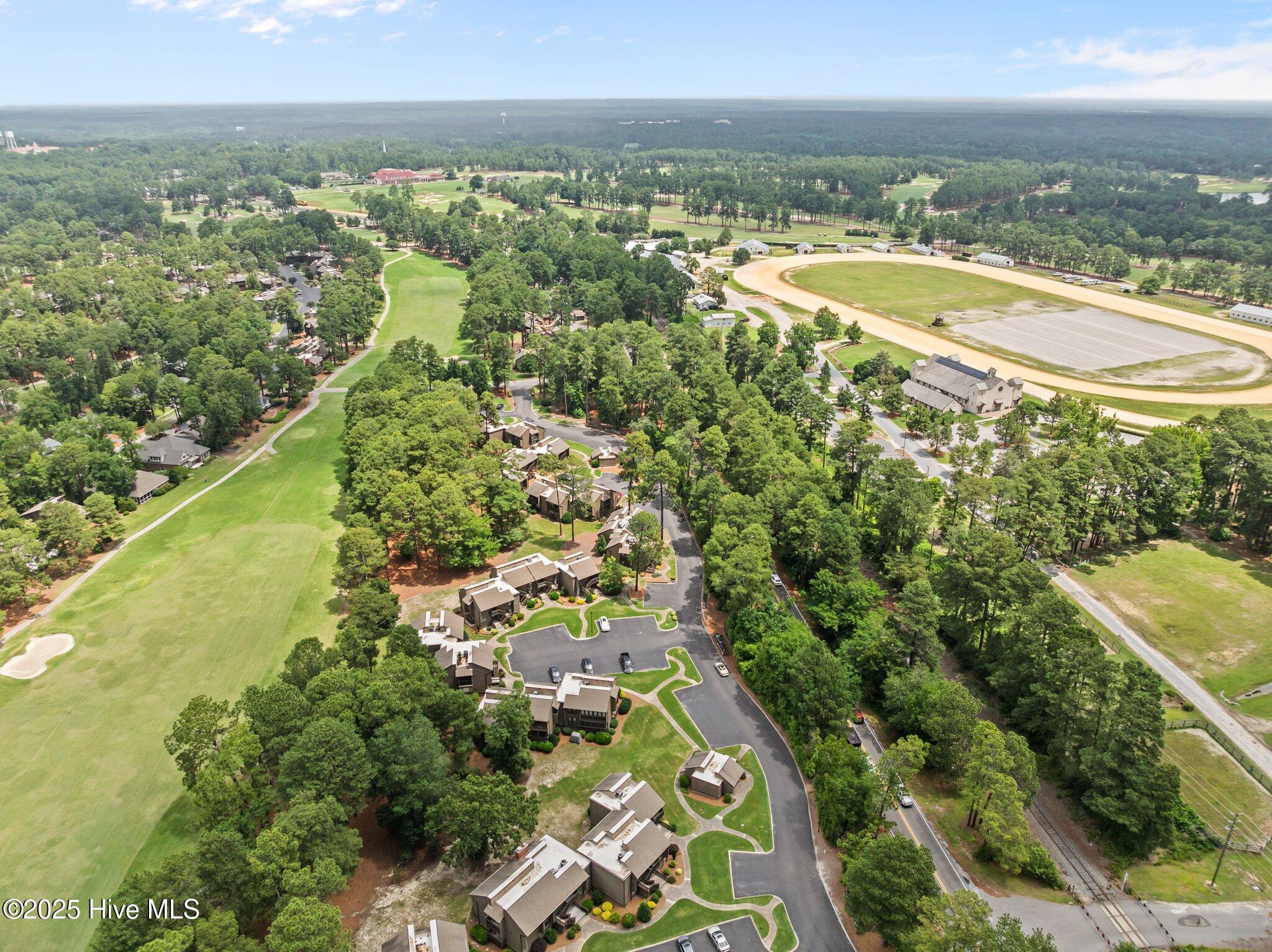 10 Pine Tree Road, 123