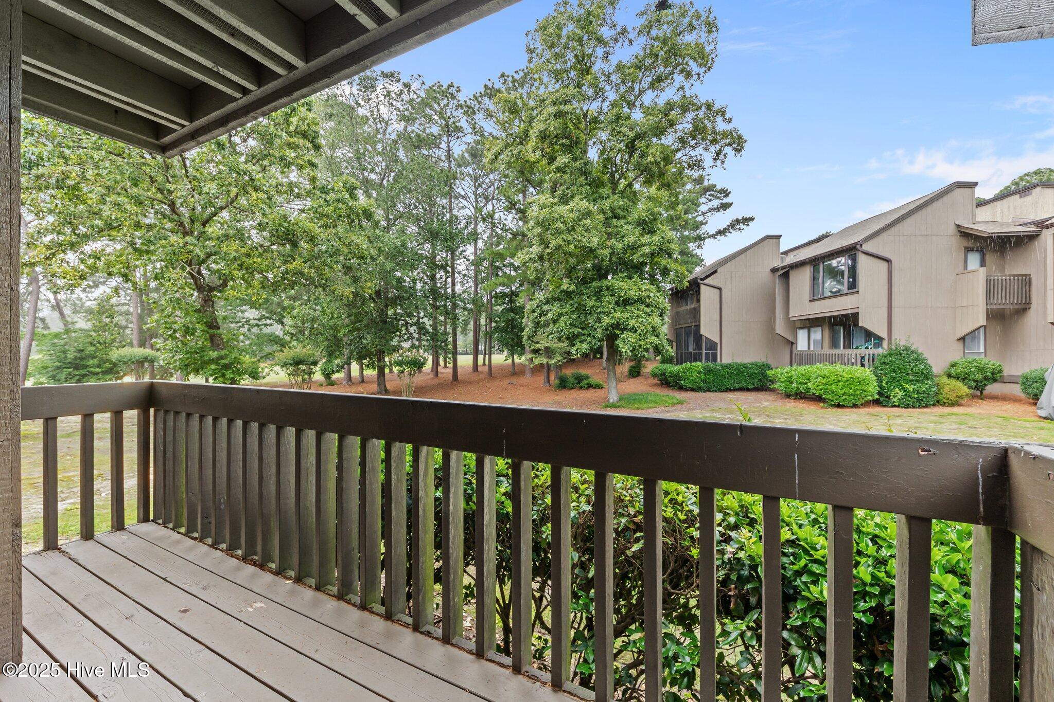 10 Pine Tree Road, 123