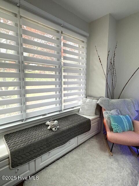 133 Shaw Drive
