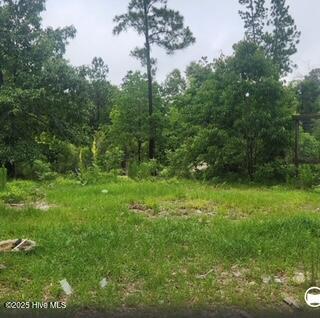 342 Ponderosa Drive