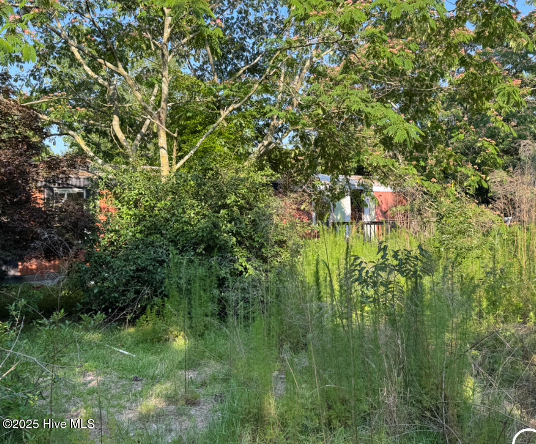 364 Ponderosa Drive