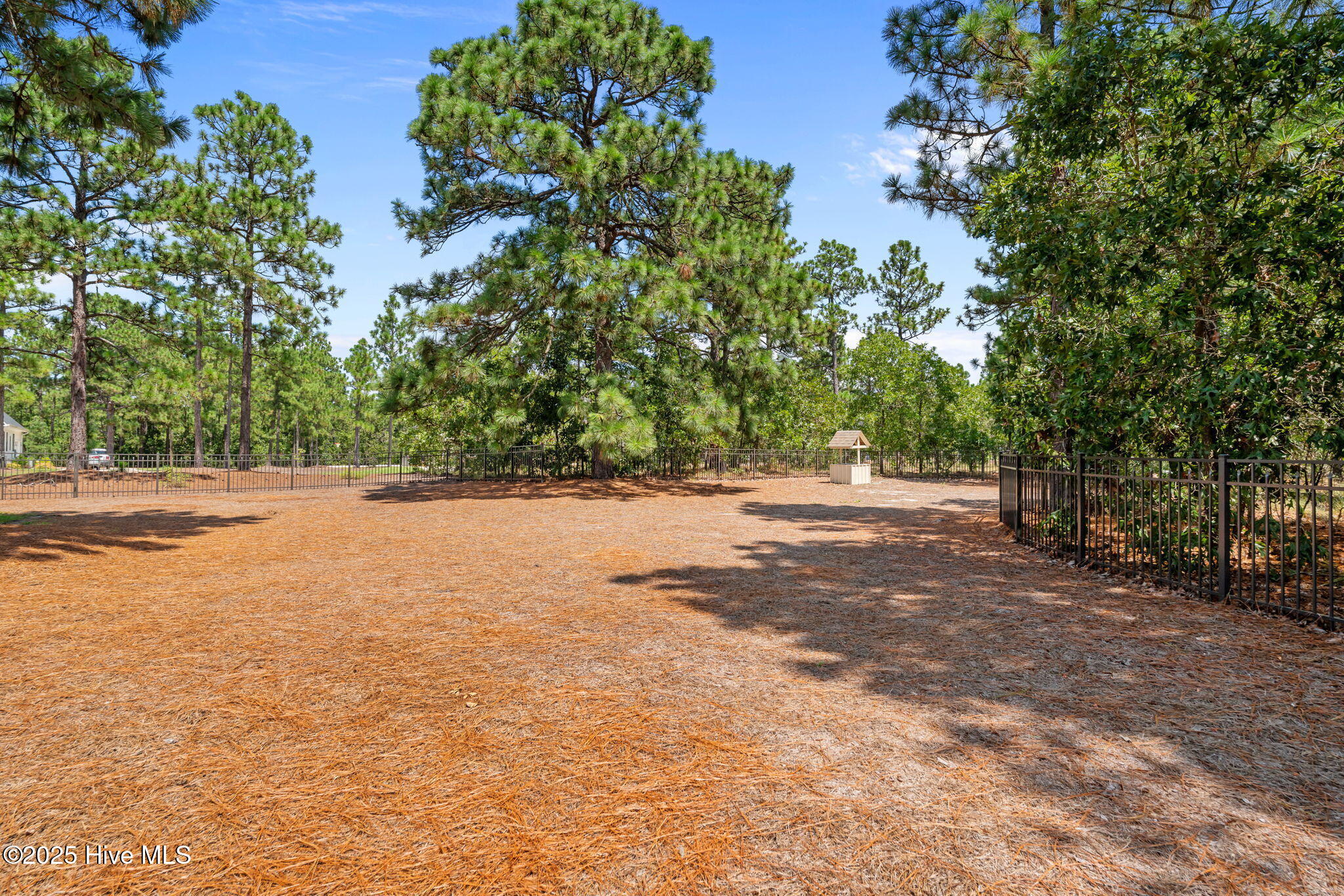 115 Lamplighter Lane