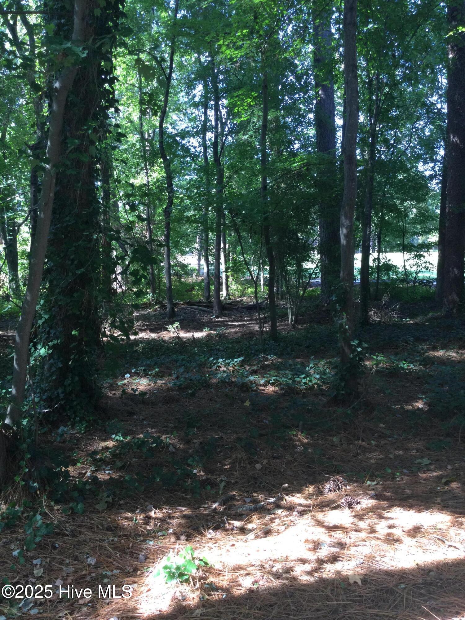 3 56 Belair Place