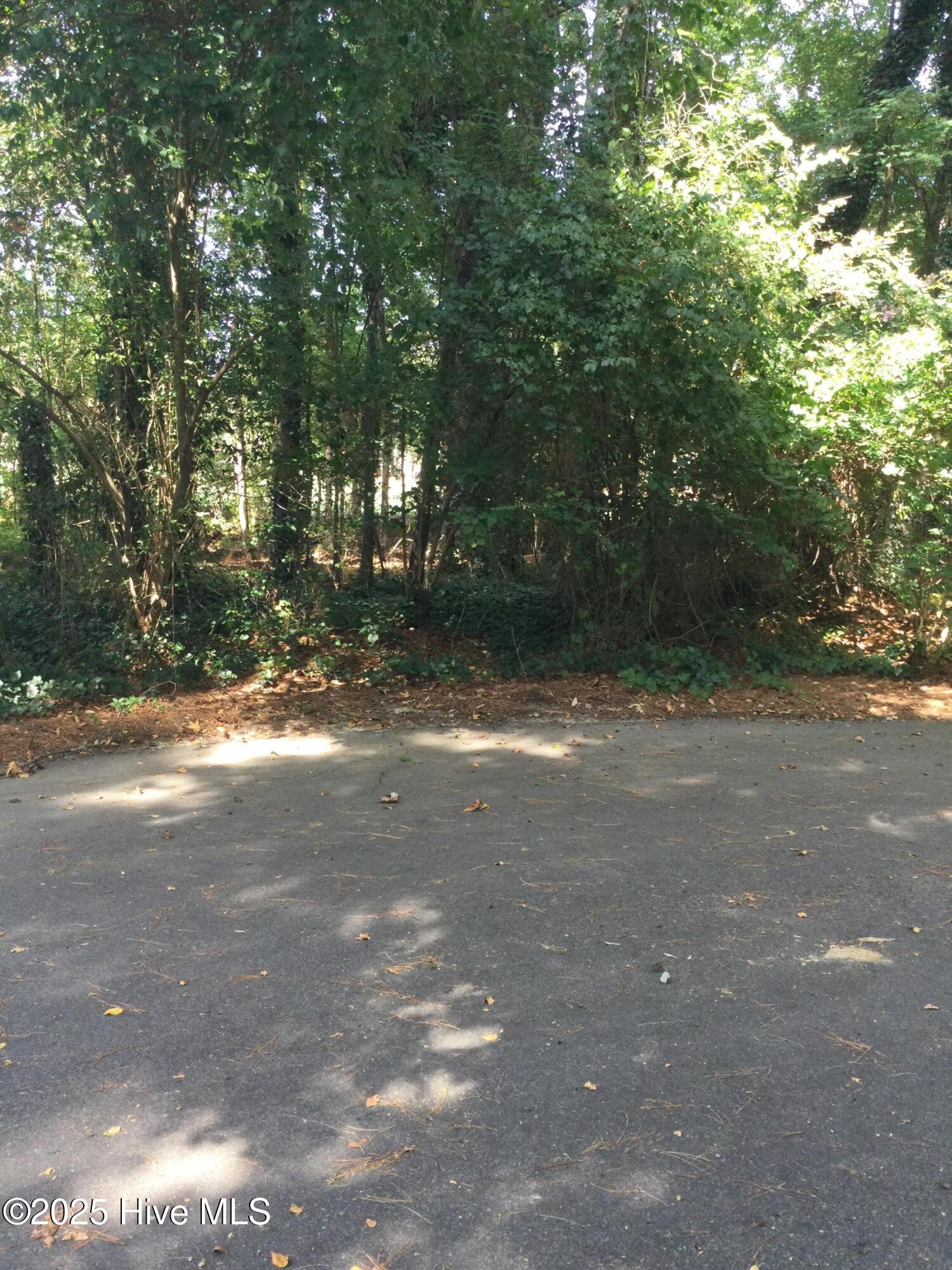3 56 Belair Place