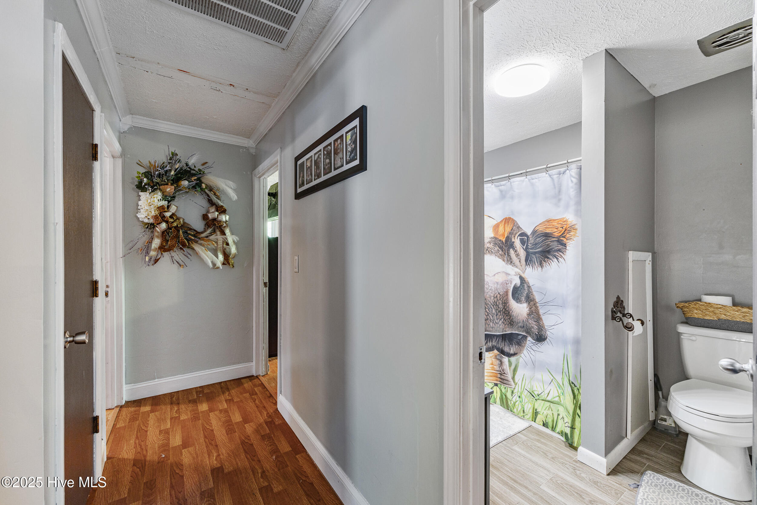 104 Edens Street