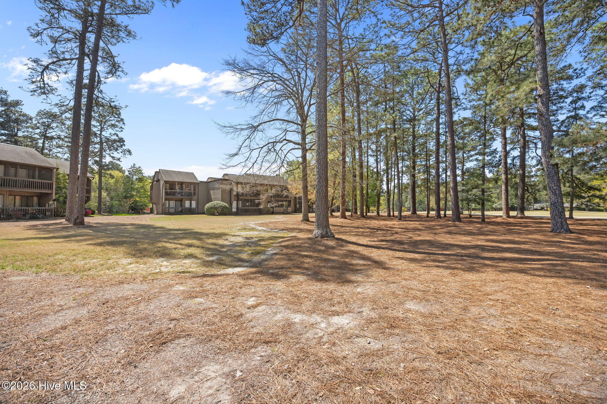 10 Pine Tree Road 00028582209 # 209