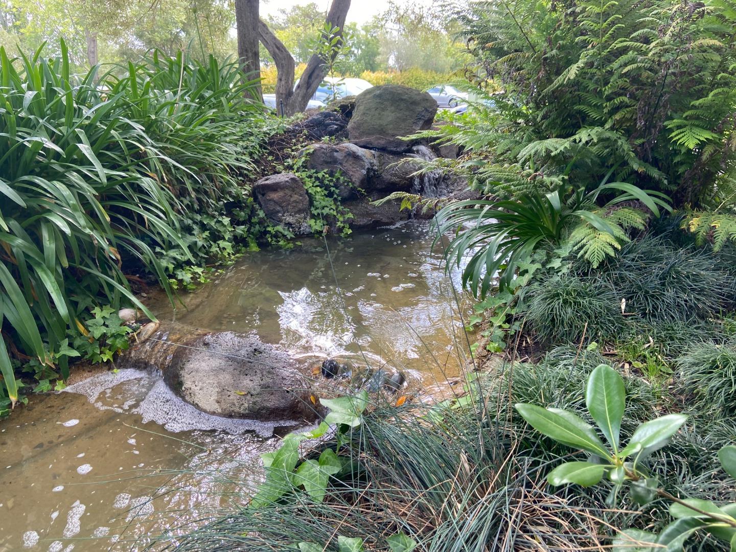 3135 Shelter Creek Lane