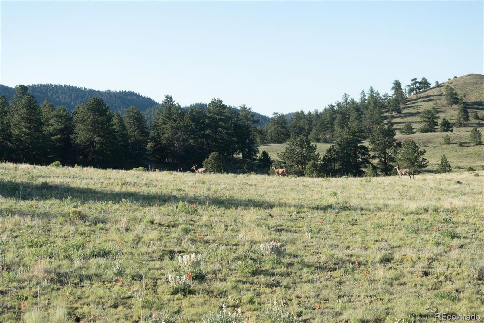0 Big Buck Road