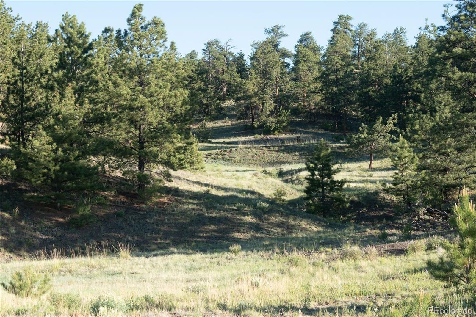 0 Big Buck Road