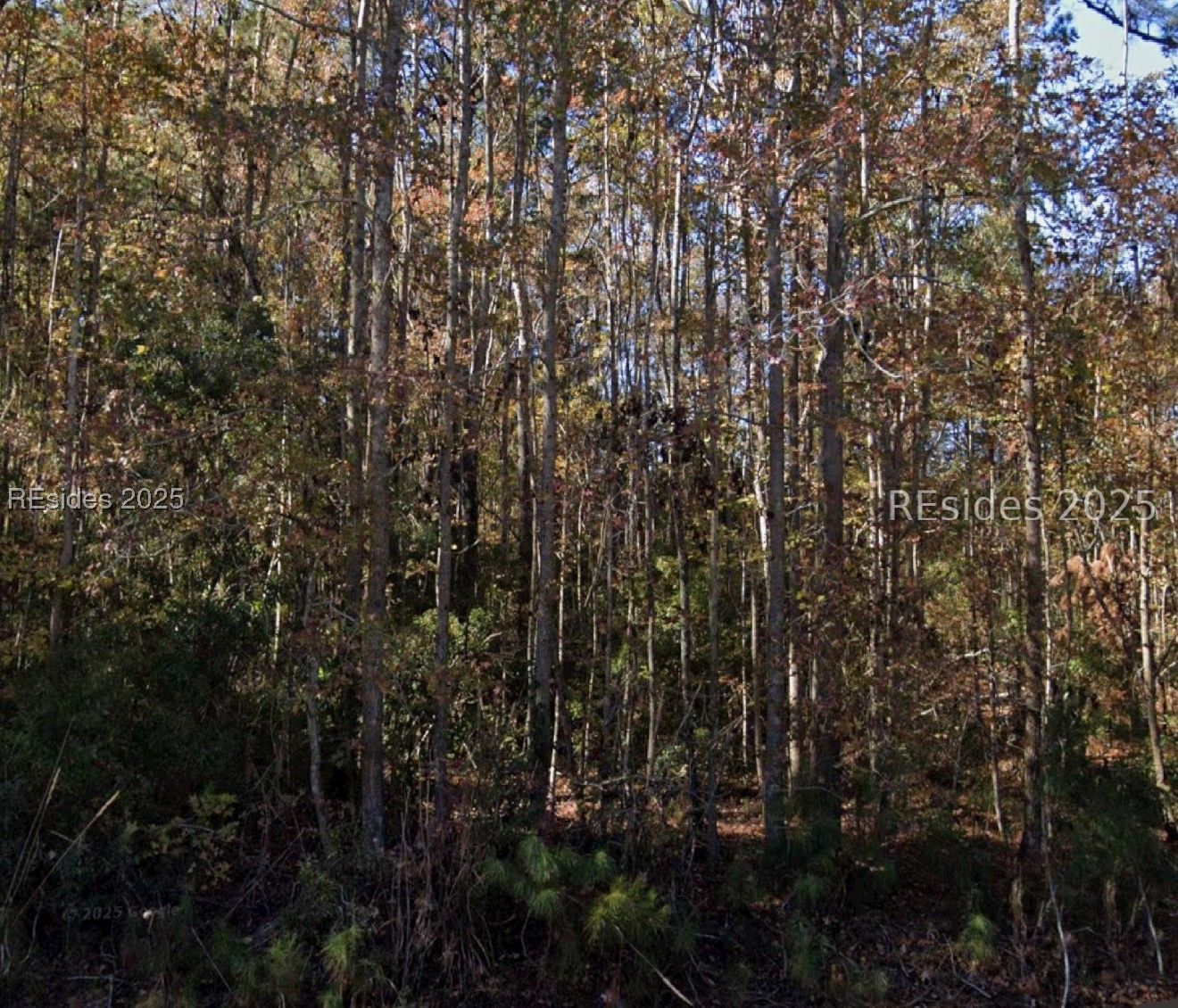 0 Cotton Hill Road