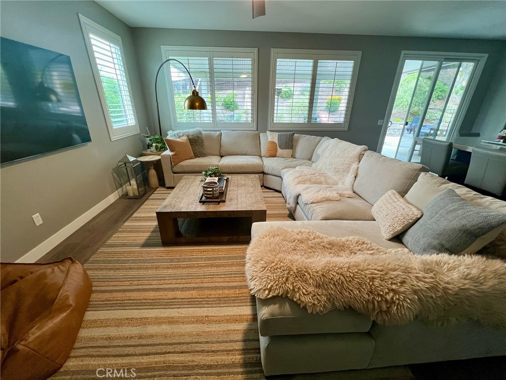 30654 San Anselmo Drive