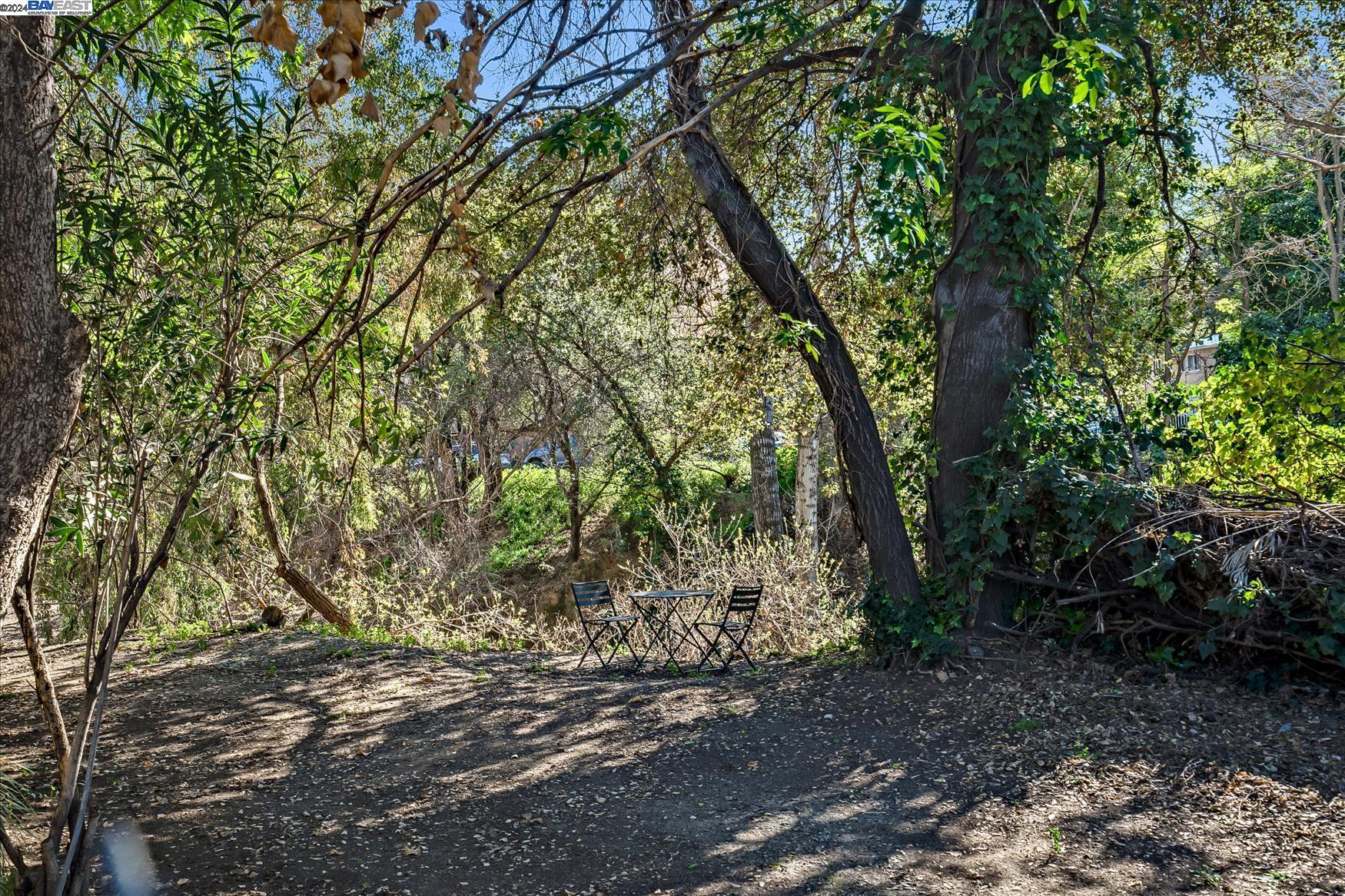 1411 Creekside Dr # 12