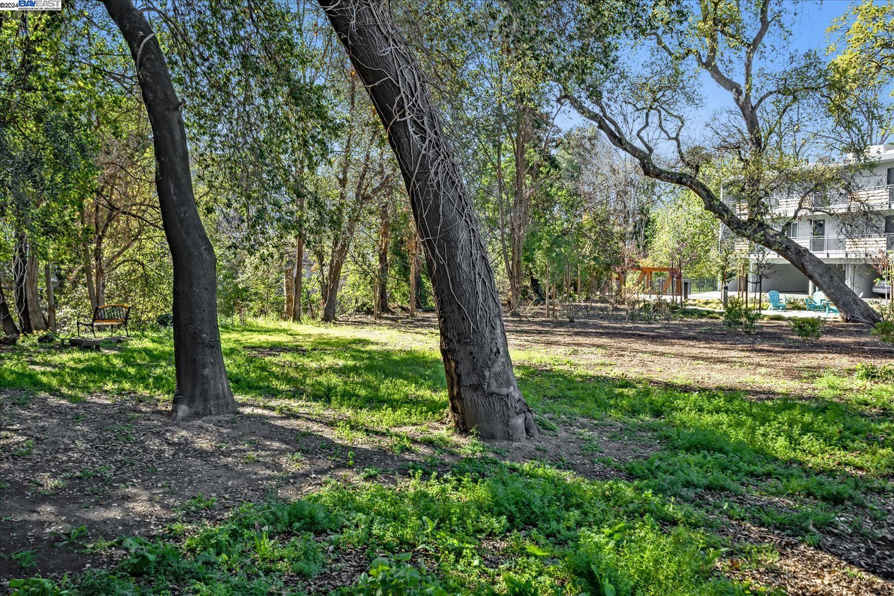 1411 Creekside Dr # 12