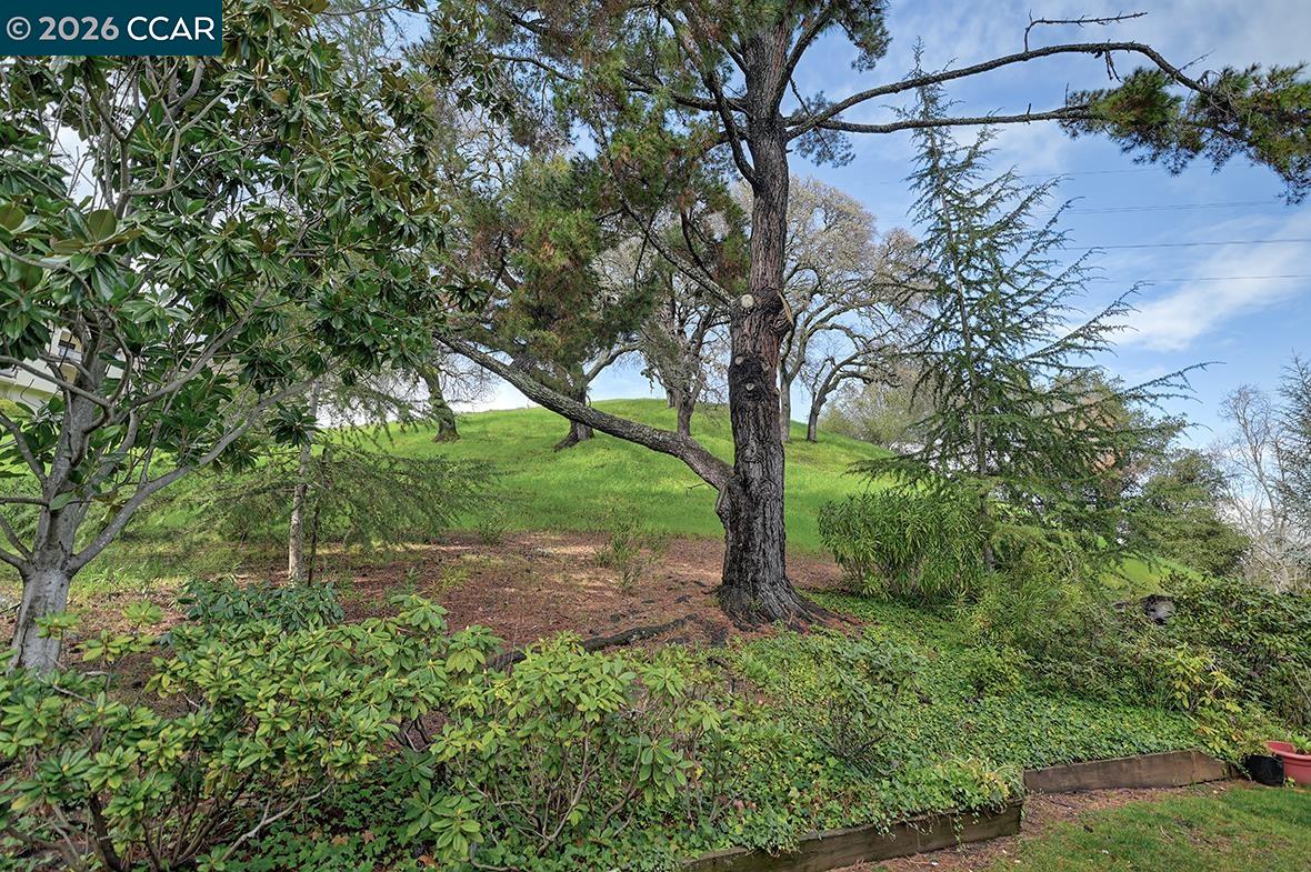 3411 Tice Creek Dr # 1