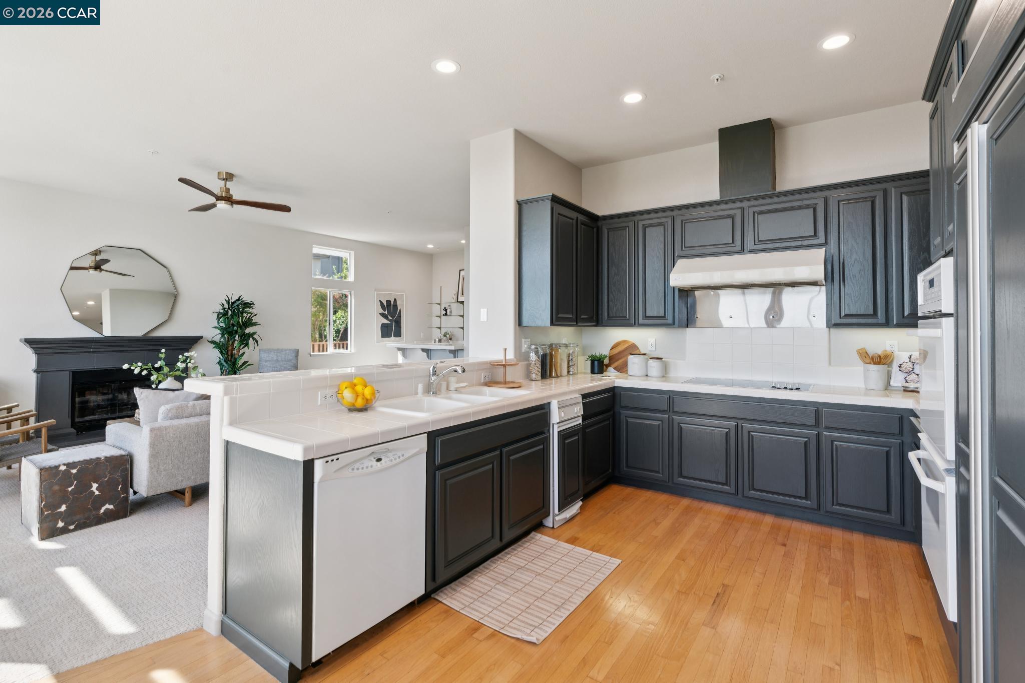 905 Dana Highlands Ct