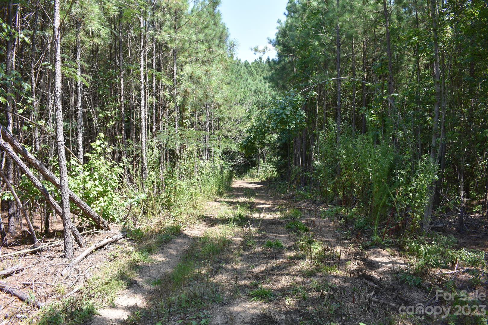 000 Southbound Road