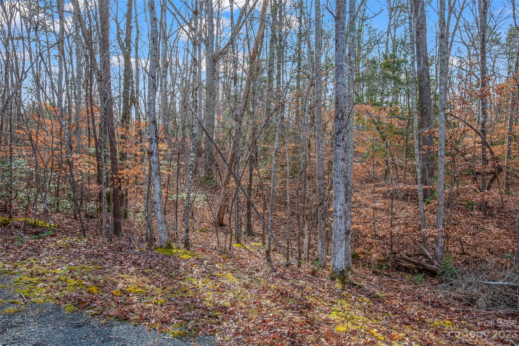 164 Suwanne Road