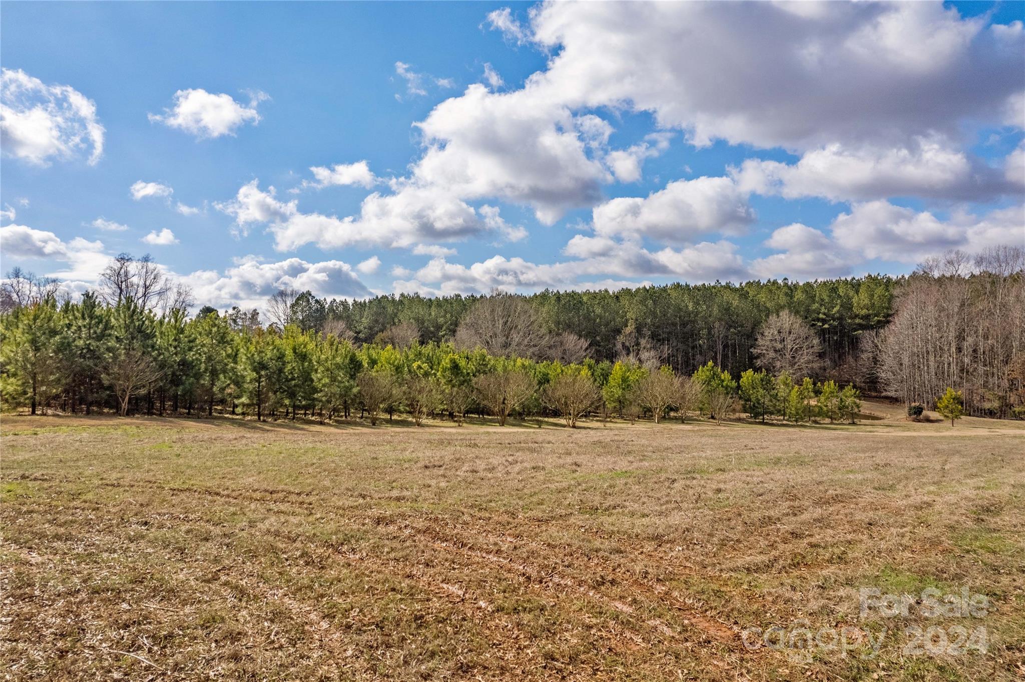 309 French Belk Road