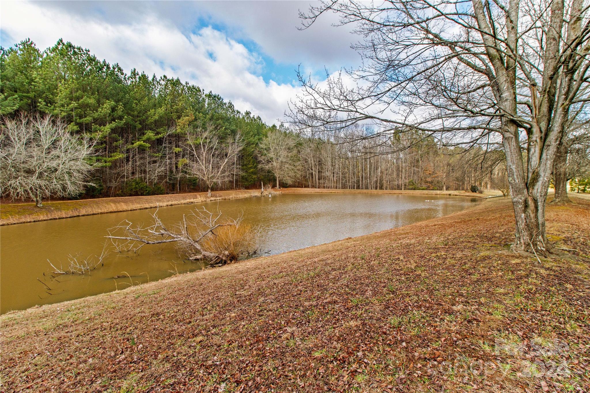 309 French Belk Road