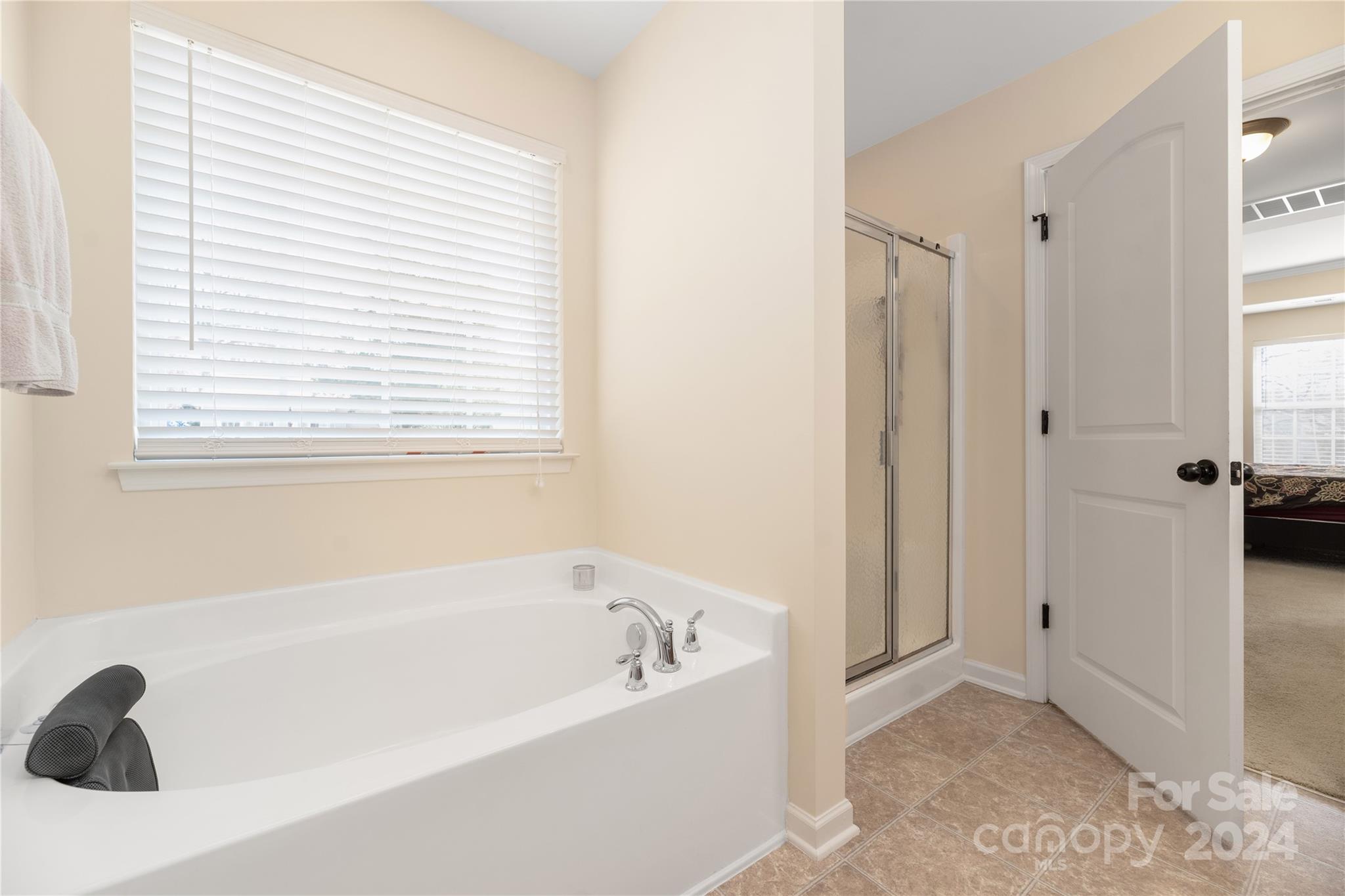 16322 Amber Field Drive