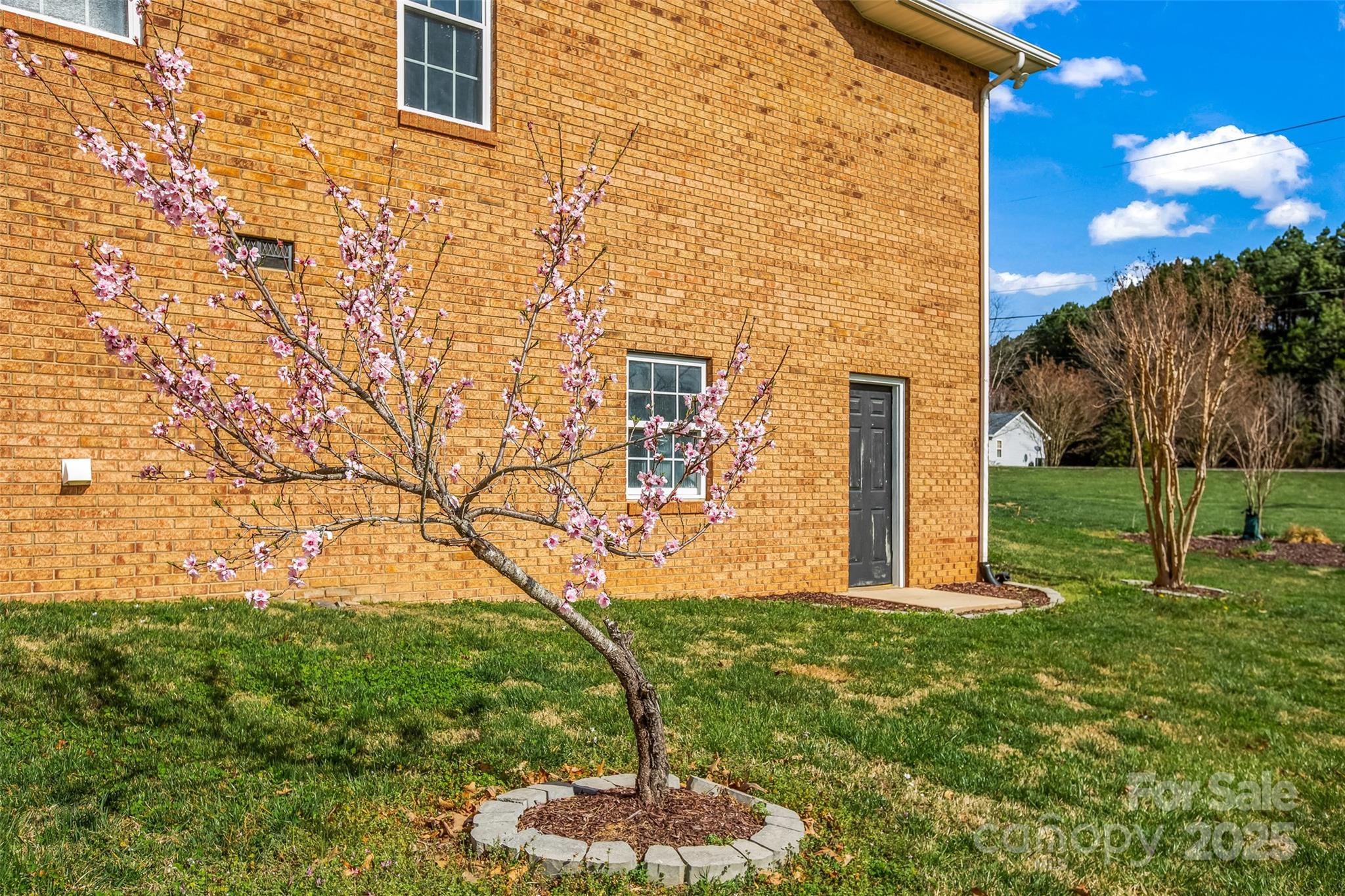 2232 Triplett Road