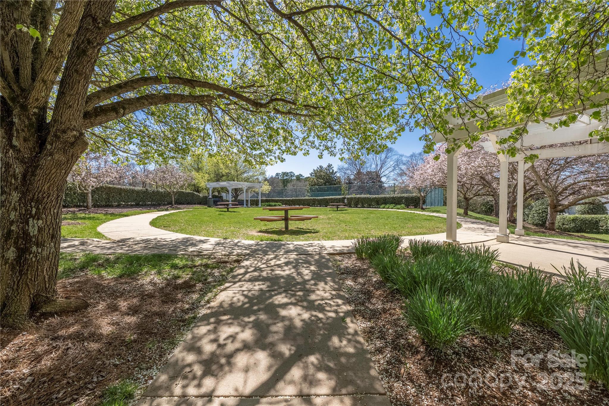 16312 Redstone Mountain Lane