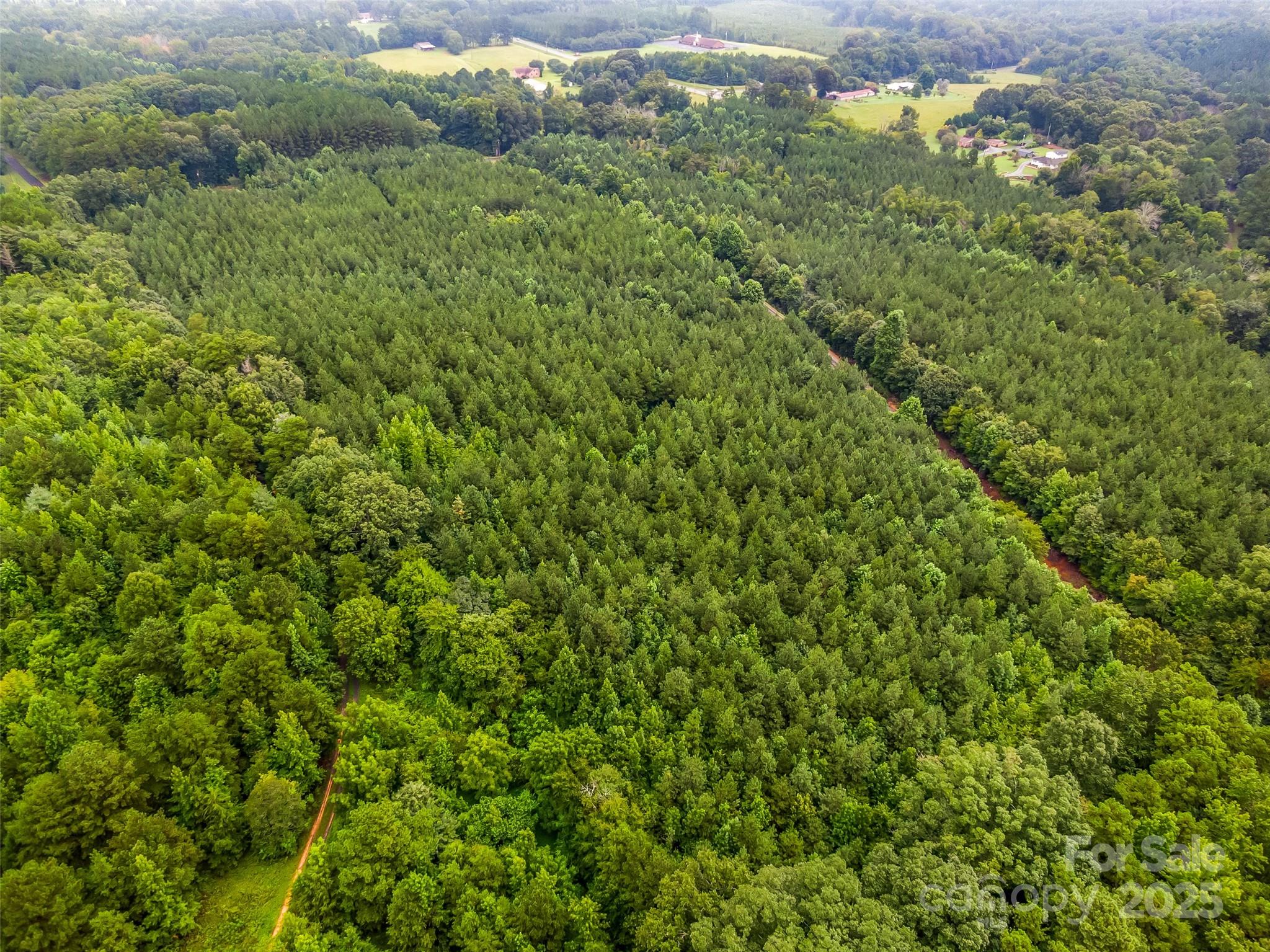 Vac 16.2 Acres Southbound Road